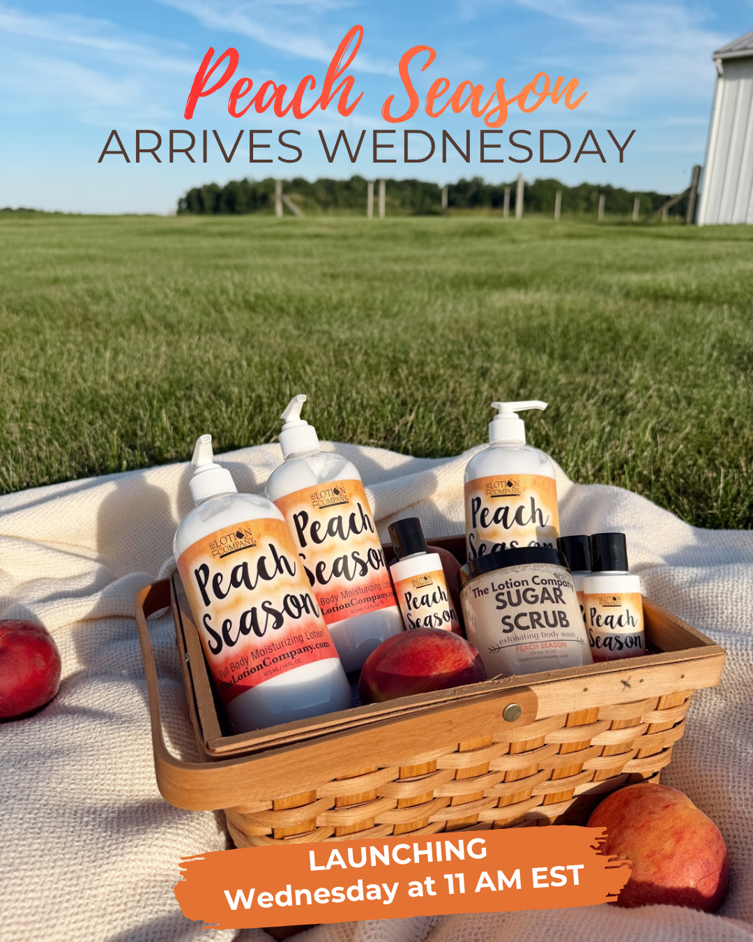 PEACH SEASON (limited edition)